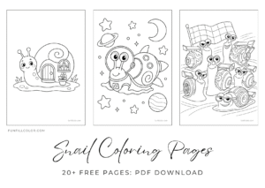 Snail coloring Pages