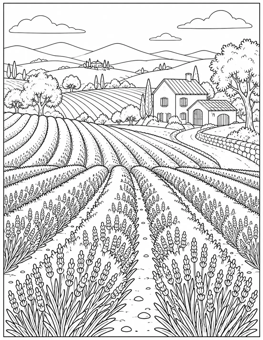 Lavender farm landscape coloring page