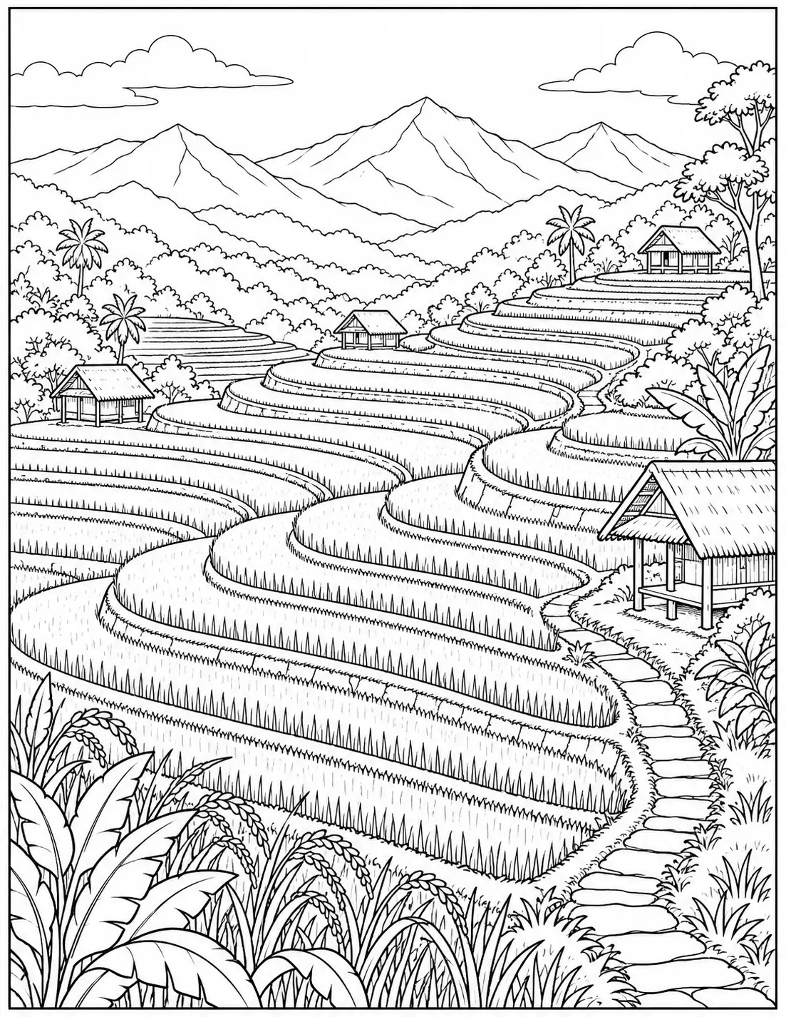 Rice terrace hills landscape coloring page