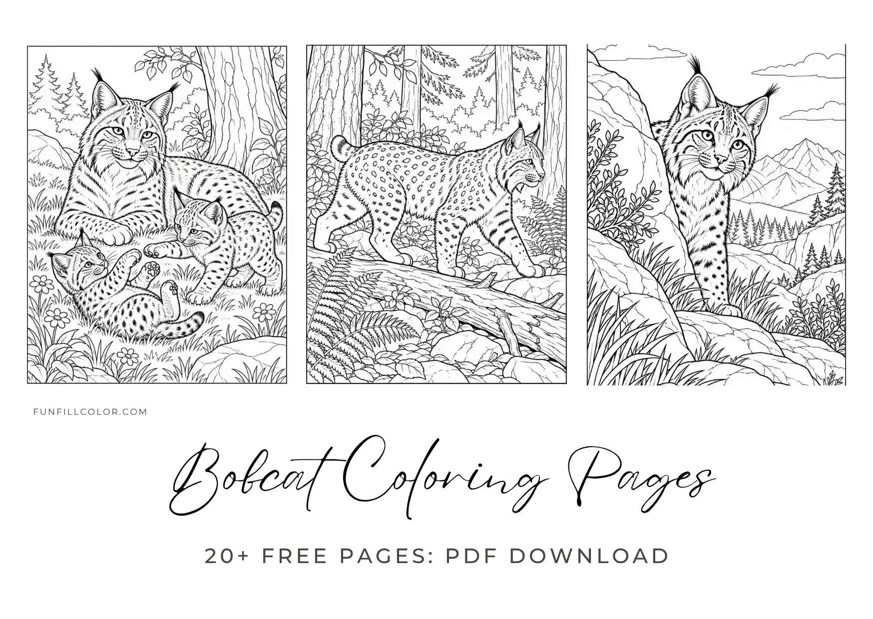 Printable bobcat coloring pages with forest, mountain, snow, stream, kitten, and wildlife scenes