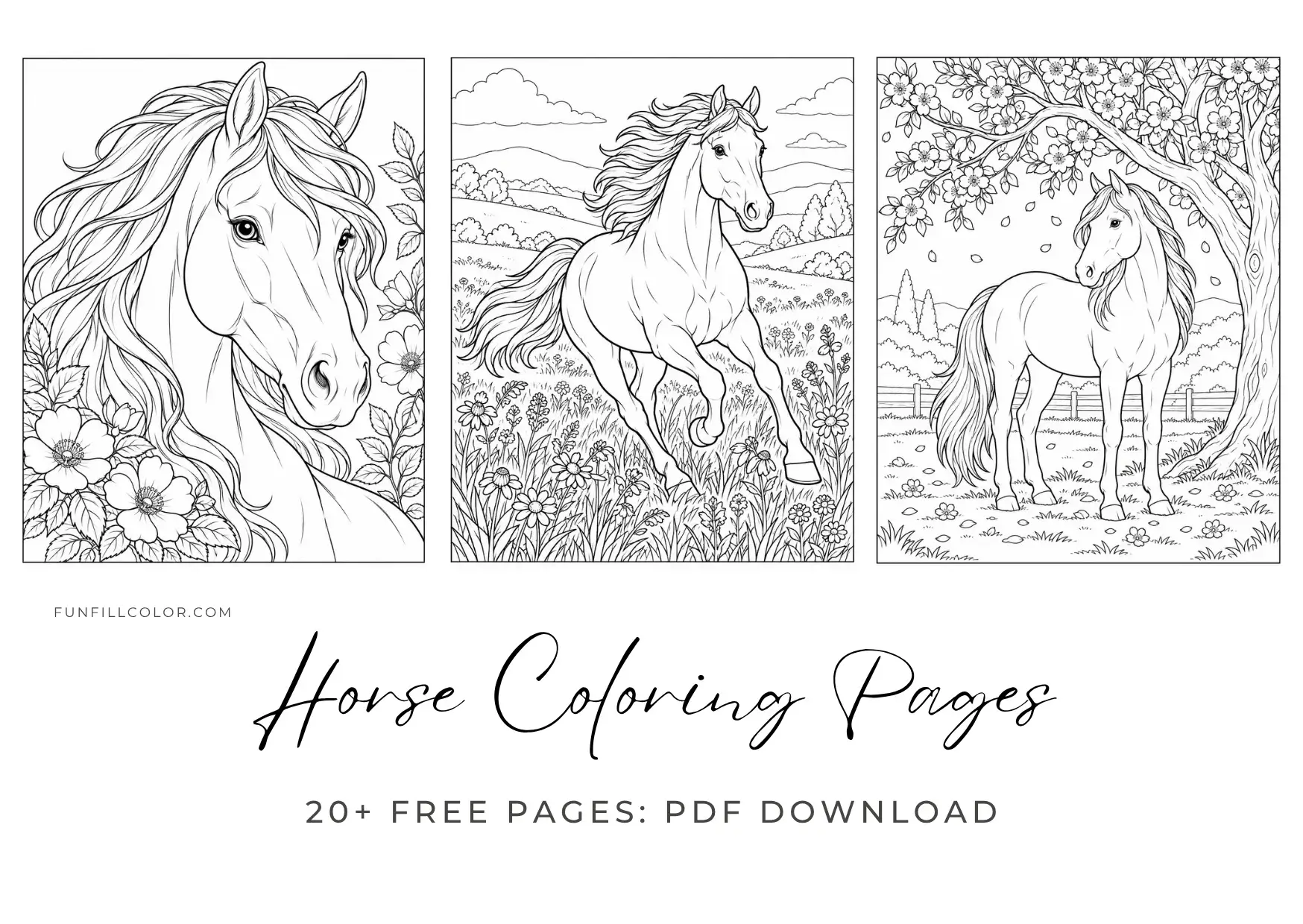 Horse Coloring Pages for Adults
