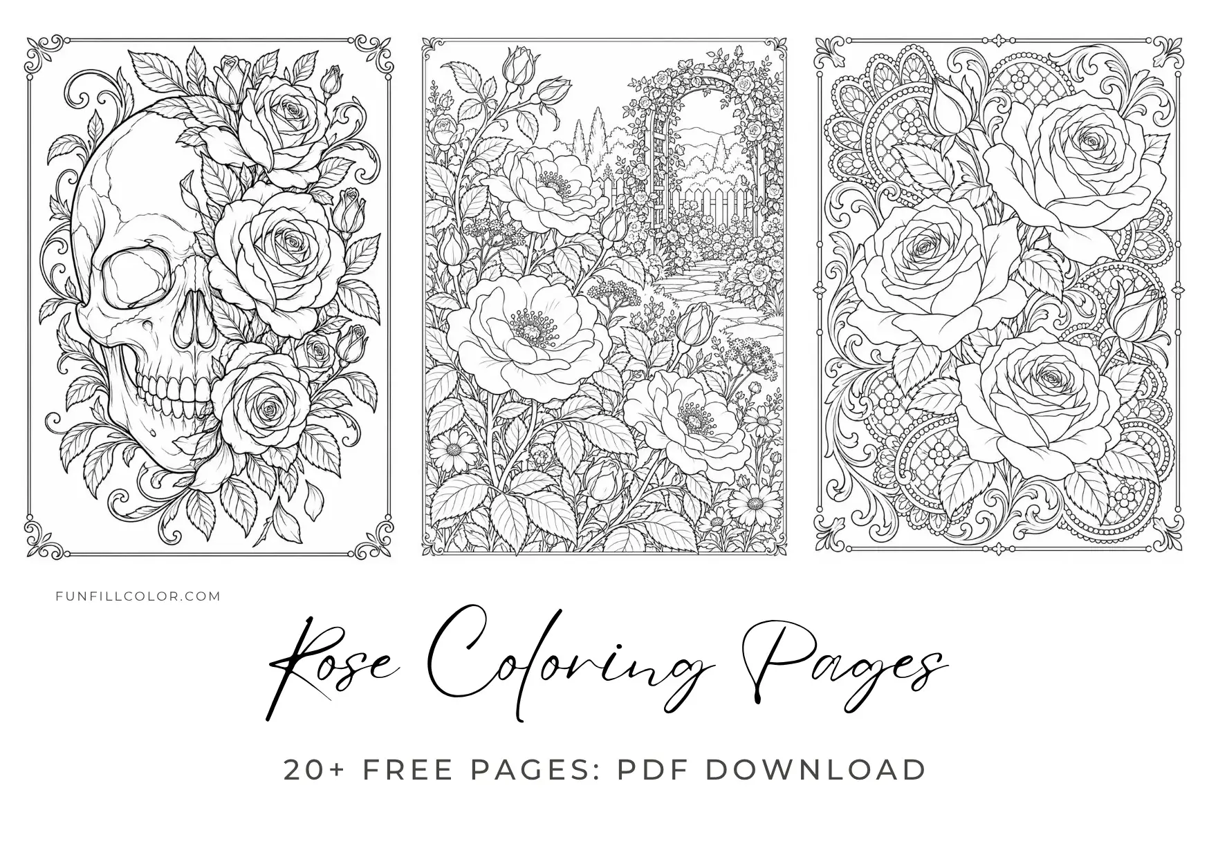 20 Rose Coloring Pages For Adults To Download And Print